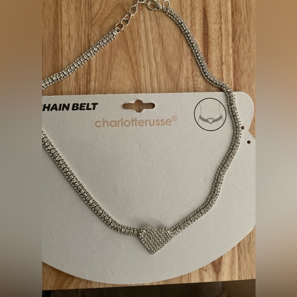 Chain Belt - Picture 2 of 7